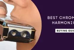 Best Chromatic Harmonicas 2022: Beginner-Friendly Guide
