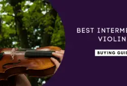 Top 10 Intermediate Violins In 2022: Buyer’s Guide