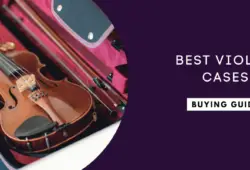 Best Violin Case Reviews in 2022: Ultimate Guide