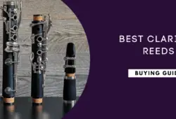 Best Clarinet Reeds In 2024 For All Levels