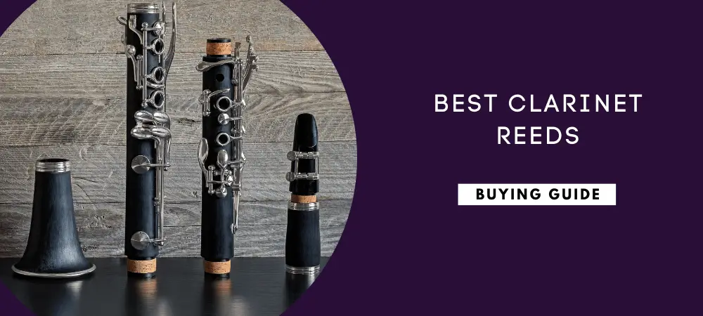 Best Clarinet Reeds reviews
