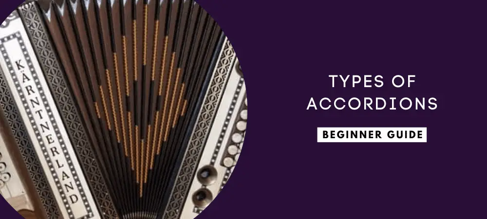 [Image: types-of-accordions.png]
