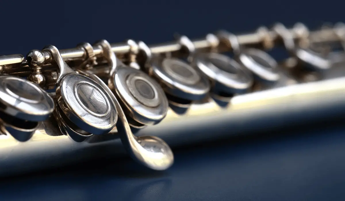 professional flute buying guide