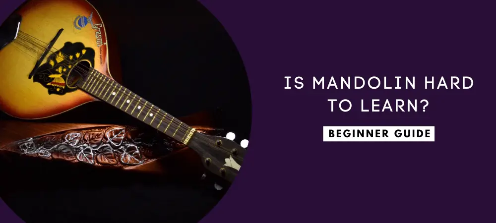 is mandolin hard to learn
