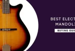 Best Electric Mandolins In 2022: Detailed Reviews