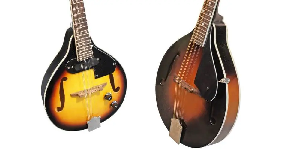 Buying guide for electric mandolin