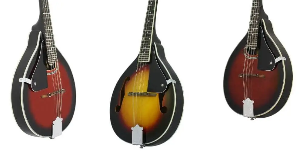 What Makes a Bluegrass Mandolin Different from a Normal mandolin