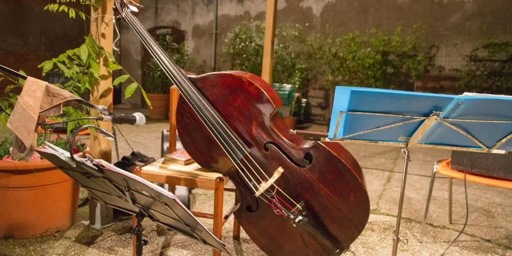 How to choose a beginner cello