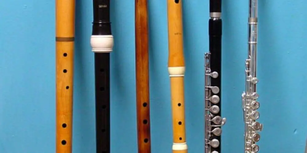 Differences Between Recorder & Flute