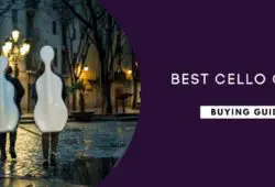 Best Cello Cases In 2024: The Ultimate Guide